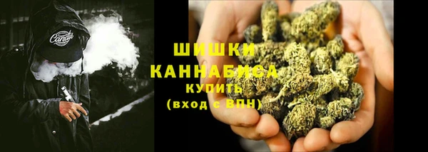 сатива Аркадак