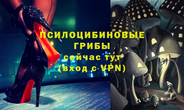 ешки Армянск
