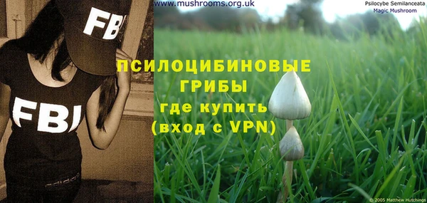 сатива Аркадак
