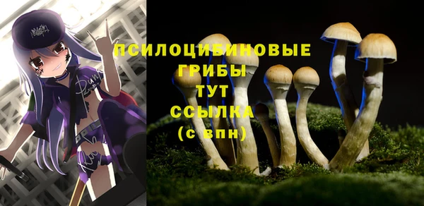 ешки Армянск