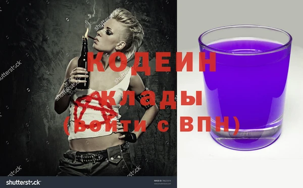 сатива Аркадак