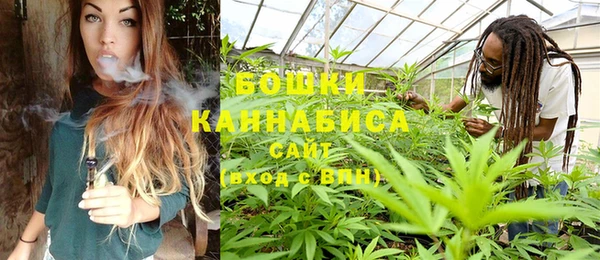 сатива Аркадак