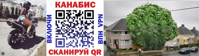 Бошки Шишки гибрид  цена   Тетюши 